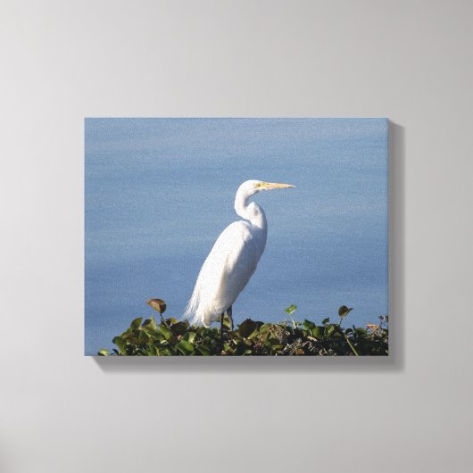 White Heron op Lilypads Canvas Afdruk (Voorkant)