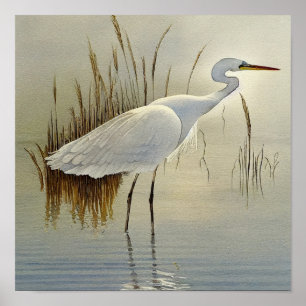 White Heron Waterverf Painting Poster