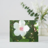 White Hibiscus Briefkaart (Staand voorkant)
