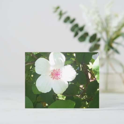 White Hibiscus Briefkaart (Staand voorkant)