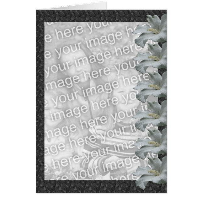 White Hibiscus Floral Design Photo Card (Voorkant)