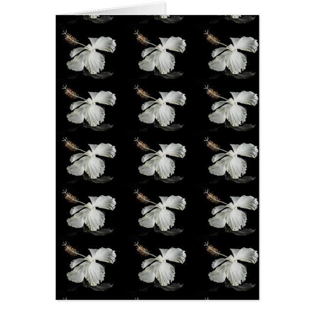 White Hibiscus Flower Side Uitzicht (Voorkant)