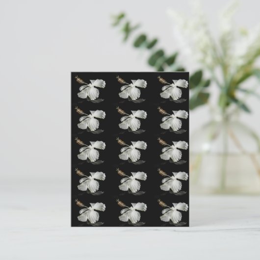 White Hibiscus Flower Side Uitzicht Briefkaart (Staand voorkant)