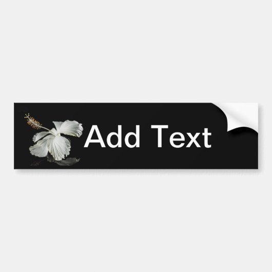White Hibiscus Flower Side Uitzicht Bumpersticker (Voorkant)