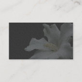 White Hibiscus on Black Floral Visitekaartje (Achterkant)