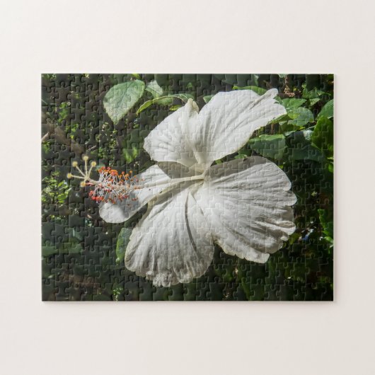 White Hibiscus | Vreedzame Natuur Legpuzzel (Horizontaal)