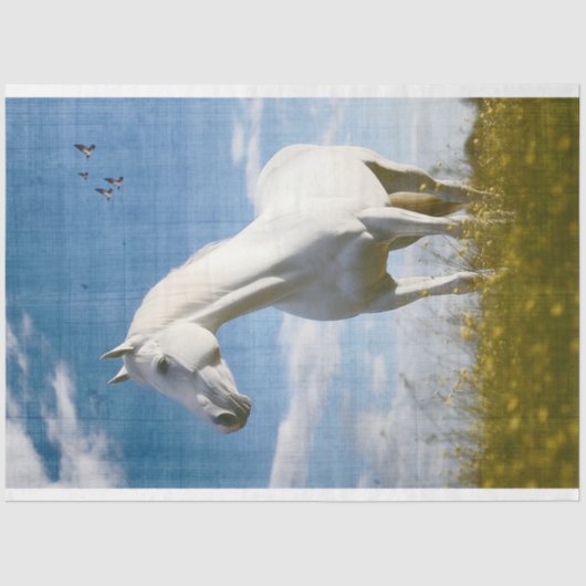 White Horse 1 Decoupage papier (Voorkant)