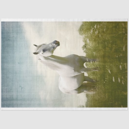 White Horse 2 Decoupage papier (Voorkant)