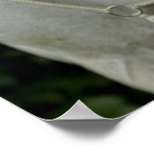 White Horse and Girl Poster (Hoek)