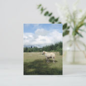 White Horse at Pasture Briefkaart (Staand voorkant)