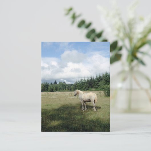 White Horse at Pasture Briefkaart (Staand voorkant)