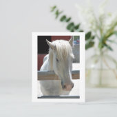 White Horse Beauty Briefkaart (Staand voorkant)