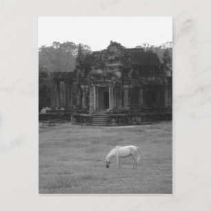 White Horse Briefkaart