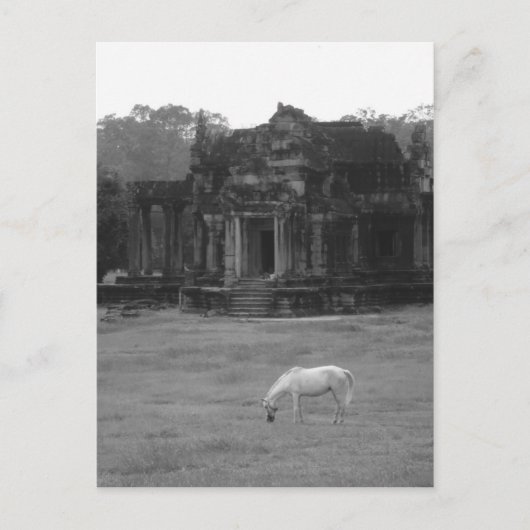 White Horse Briefkaart (Voorkant)