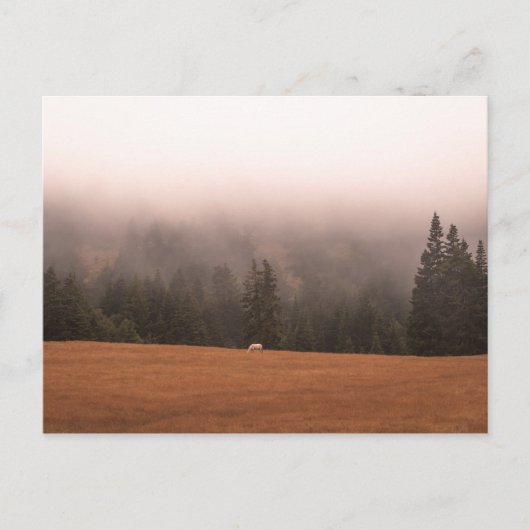 White Horse Briefkaart (Voorkant)