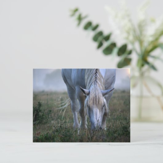 White Horse Briefkaart (Staand voorkant)