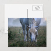 White Horse Briefkaart (Voorkant / Achterkant)
