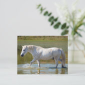 WHITE HORSE BRIEFKAART (Staand voorkant)