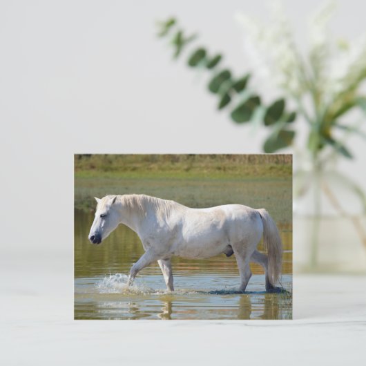 WHITE HORSE BRIEFKAART (Staand voorkant)