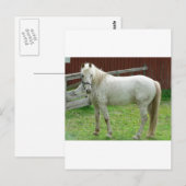 White Horse Briefkaart (Voorkant / Achterkant)