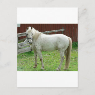 White Horse Briefkaart
