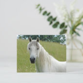 White Horse Briefkaart (Staand voorkant)