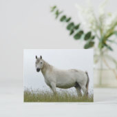 White Horse Briefkaart (Staand voorkant)