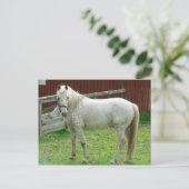 White Horse Briefkaart (Staand voorkant)