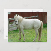 White Horse Briefkaart (Voorkant / Achterkant)