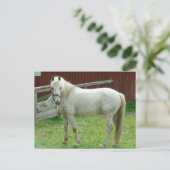 White Horse Briefkaart (Staand voorkant)