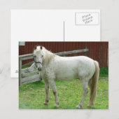 White Horse Briefkaart (Voorkant / Achterkant)