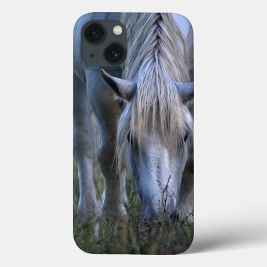 White Horse Case-Mate iPhone Case (Achterkant)