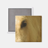 White Horse Closeup Magneet (Voorkant / Achterkant)