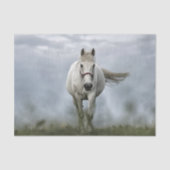 White Horse Cloud Photo Tissuepapier (Voorkant)