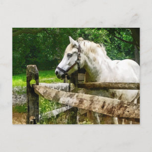 White Horse die wegkijkt Briefkaart