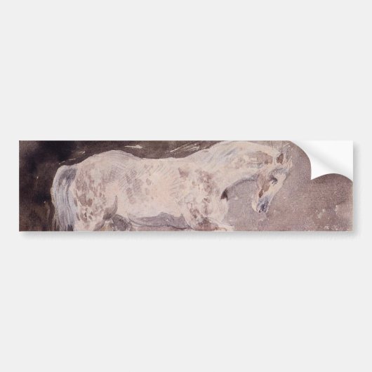 White Horse (door Eugene Delacroix) Bumpersticker (Voorkant)