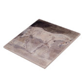 White Horse (door Eugene Delacroix) Tegeltje (Zijkant)