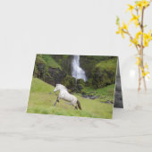 White Horse en het Waterfall Horse Wenskaart Kaart (Gele Bloem)