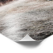 White Horse Foto Afdruk (Hoek)