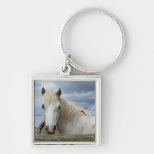 White Horse | Frankrijk Sleutelhanger (Voorkant)