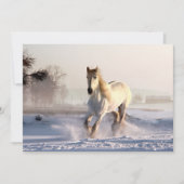 White Horse Galloping Through the Winter Snow (Voorkant)