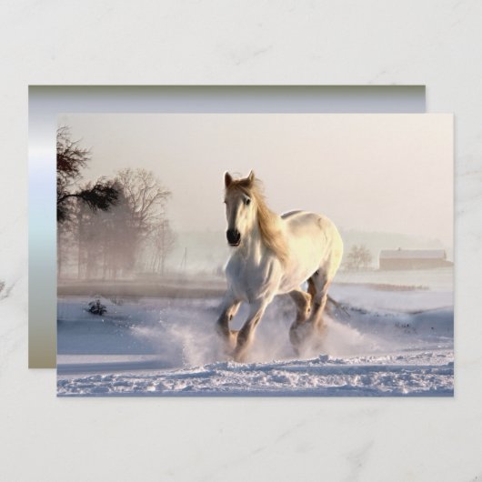 White Horse Galloping Through the Winter Snow (Voorkant / Achterkant)