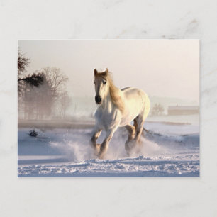 White Horse Galloping Through the Winter Snow Briefkaart