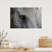 White Horse Gaze of Wisdom - Poster (Keuken)