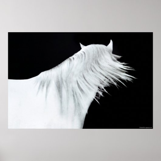 White Horse Head Poster (Voorkant)