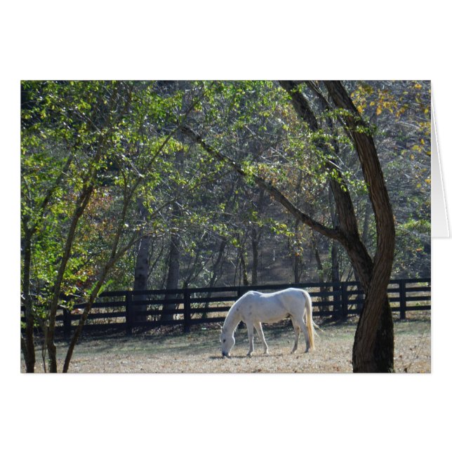 White Horse in bomen (Voorkant Horizontaal)