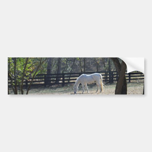 White Horse in bomen Bumpersticker (Voorkant)