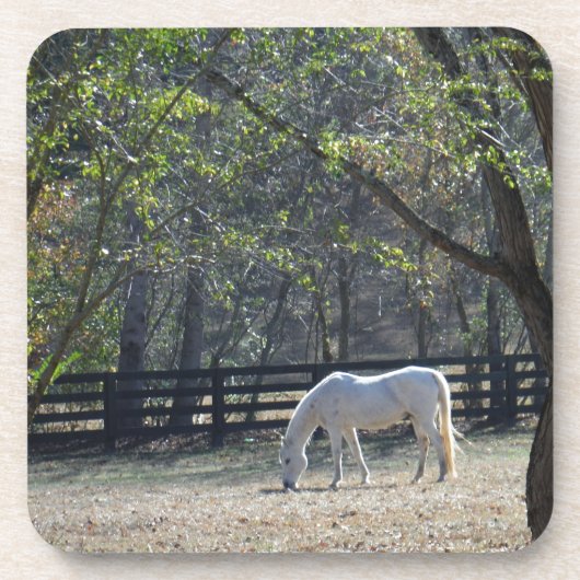 White Horse in bomen Drankjes Onderzetter (Voorkant)