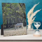 White Horse in bomen Fotoplaat (Zijkant)