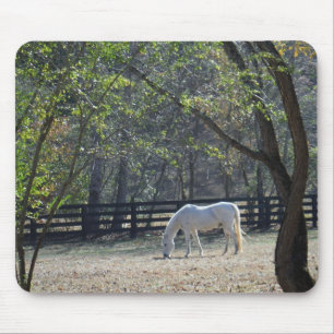 White Horse in bomen Muismat